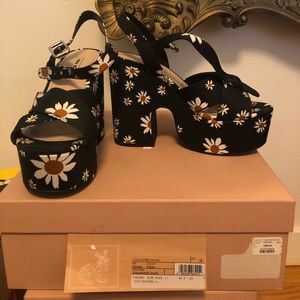BNWT. Miu Miu Gabardine Daisy Print Heels